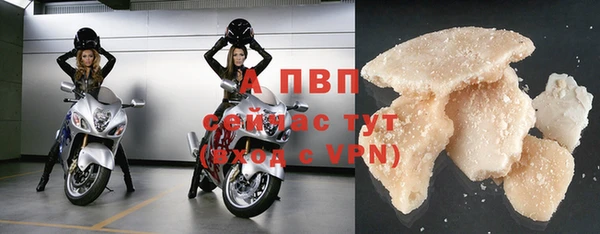 СК Инта