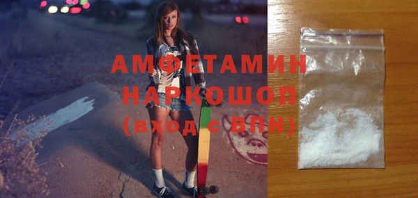 Альфа ПВП Инсар