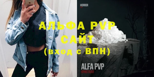Альфа ПВП Инсар