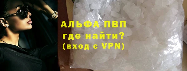 СК Инта
