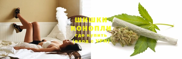 Альфа ПВП Инсар