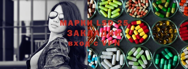 СК Инта