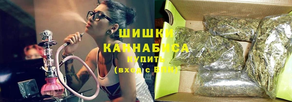 Альфа ПВП Инсар