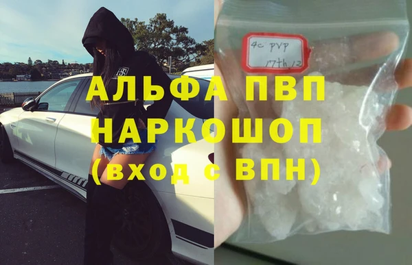 СК Инта
