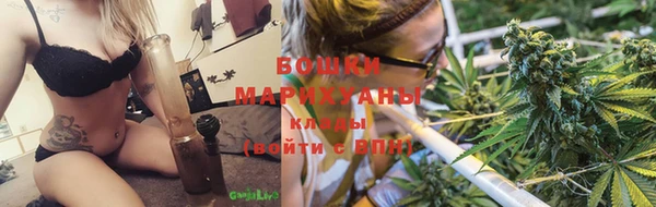 Альфа ПВП Инсар