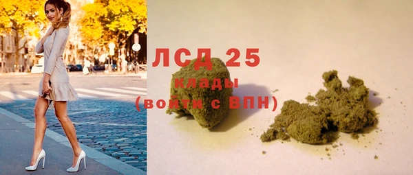 СК Инта